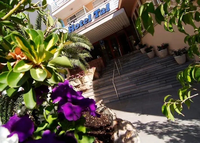 Tent Arenal Hotel 3*